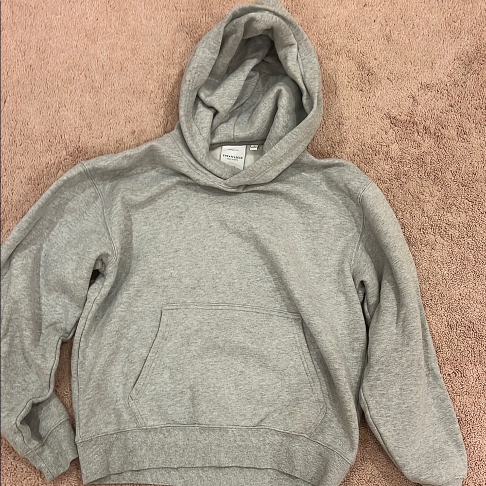 Aritzia Sweatfleece Cozy Fit Hoodie